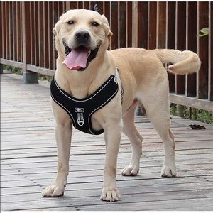 2XL step In Dog harness